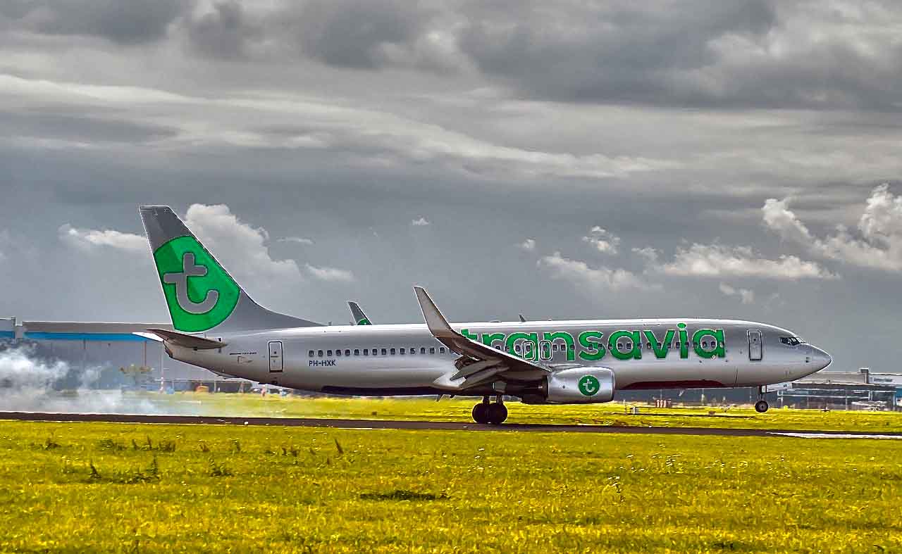 transavia luggage cost