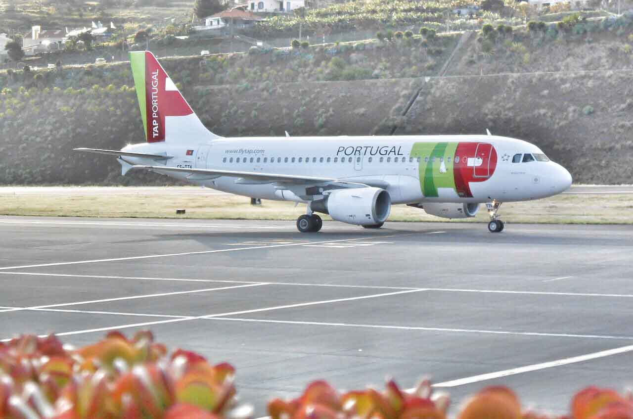 Fly With TAP Portugal Practical Info Luggale Rules Lag Animals