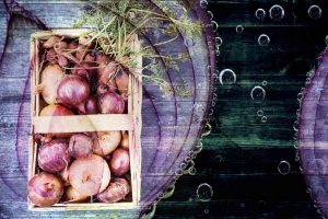 Bern Zibelemarit, Onions Market