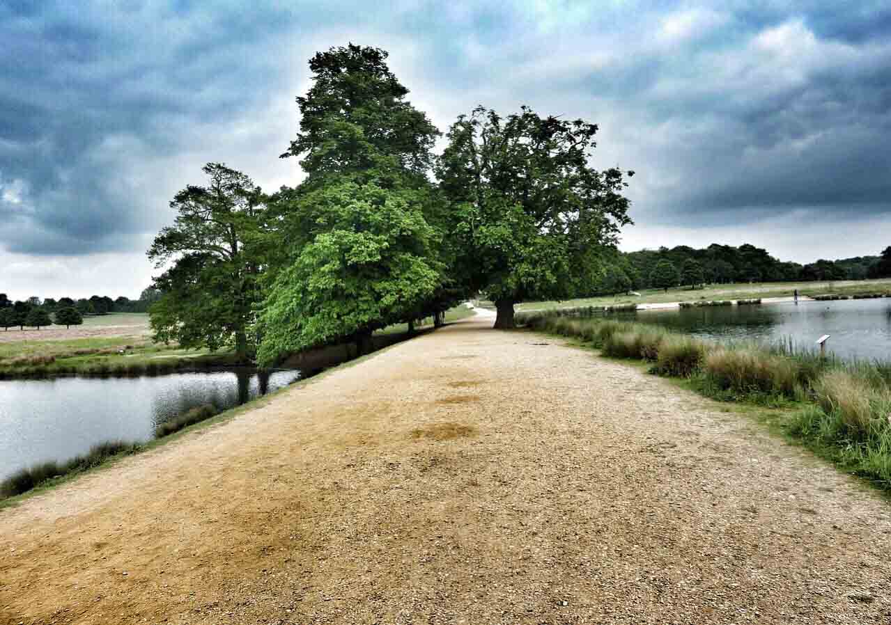 Richmond Park London